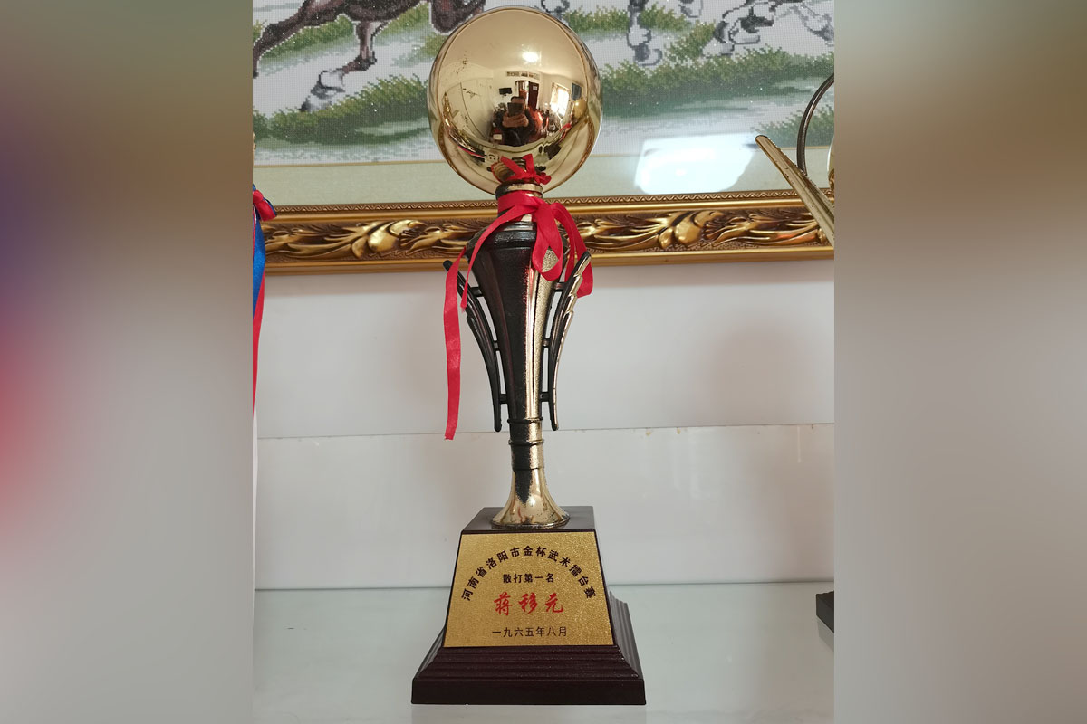 河南省洛陽市金杯武術(shù)擂臺(tái)賽散打第一名蔣移元