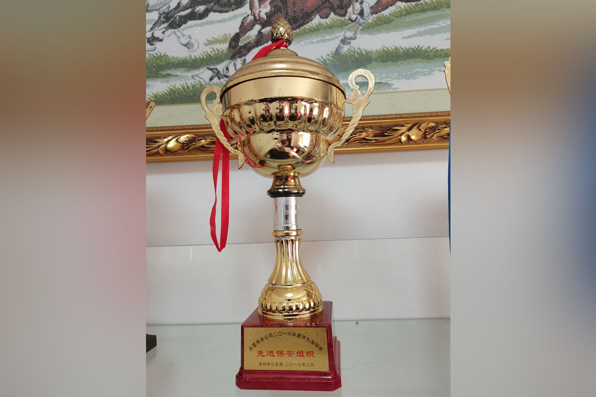 武星保安公司2016年度評為深圳市先進(jìn)保安組織